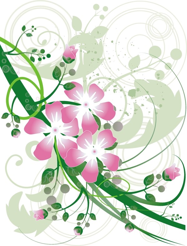 矢量花卉植物
