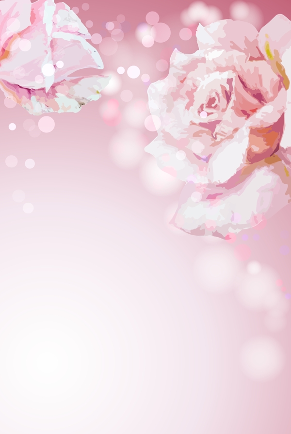 粉色玫瑰花