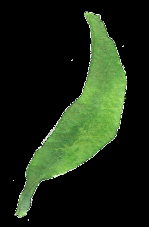 嫩绿树叶卡通水彩透明素材