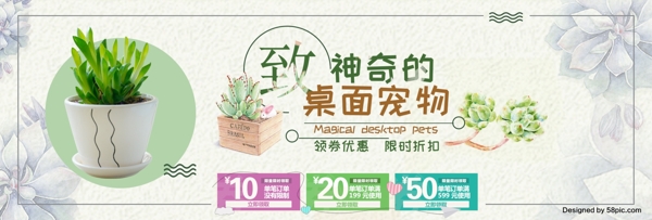 淡黄色多肉植物桌面宠物促销淘宝天猫海报banner
