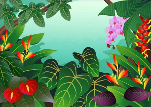 綠色植物背景圖