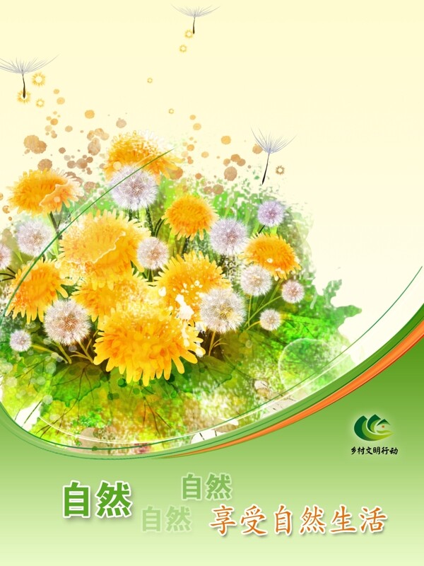 美麗的菊花綠色展板