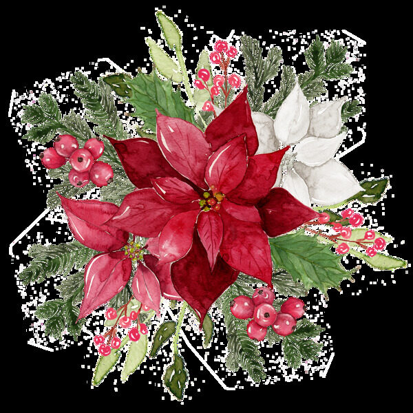 水彩装饰红色花卉免抠图素材