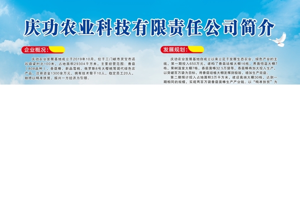 公司簡介