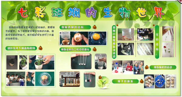 校園植物展板