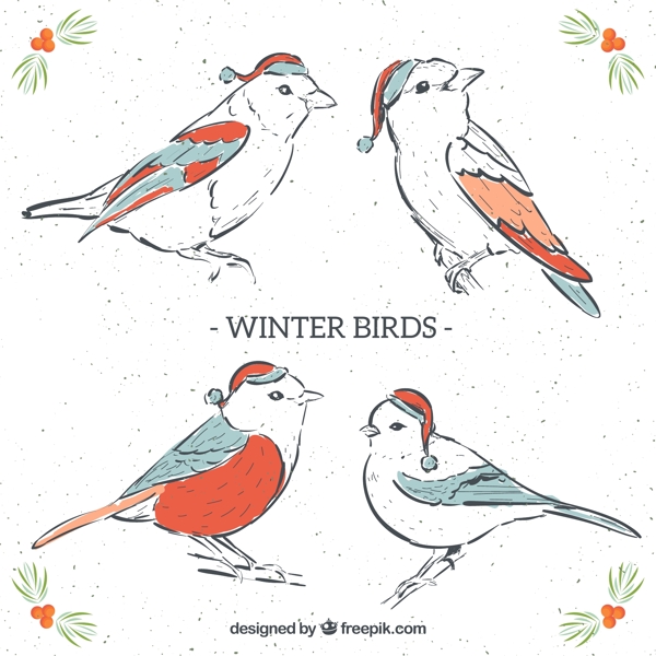 4款彩绘冬季圣诞鸟类