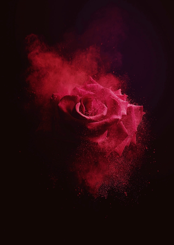 玫瑰花炫酷红色背景素材