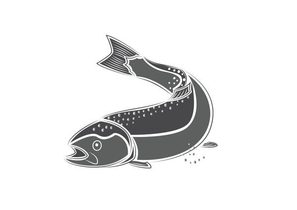創(chuàng)意手繪灰色魚(yú)類