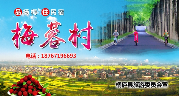 梅蓉楊梅