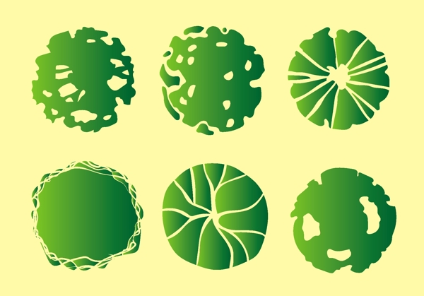 植物頂視圖