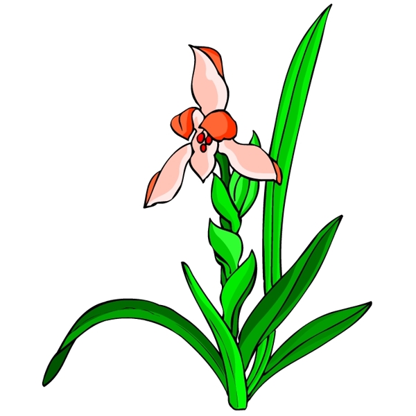花卉古典插畫