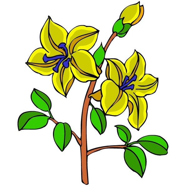 花卉古典插畫