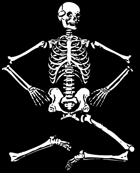 人类骨骼的剪辑艺术