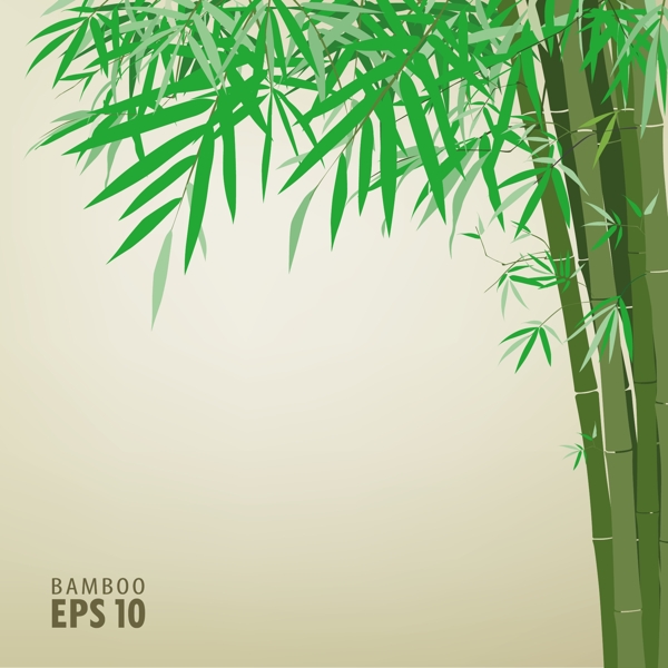 綠竹背景文本模板矢量素材2