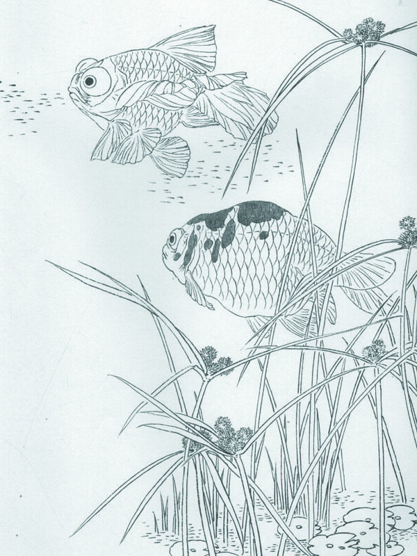 白描圖片