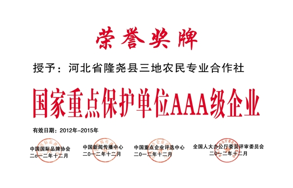 榮譽獎牌