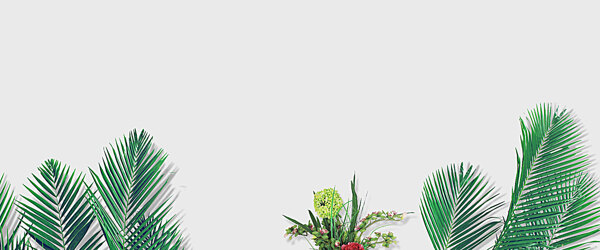 清新綠色植物banner背景素材
