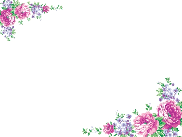 花邊花紋圖片