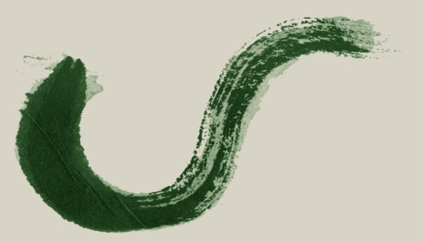 水墨