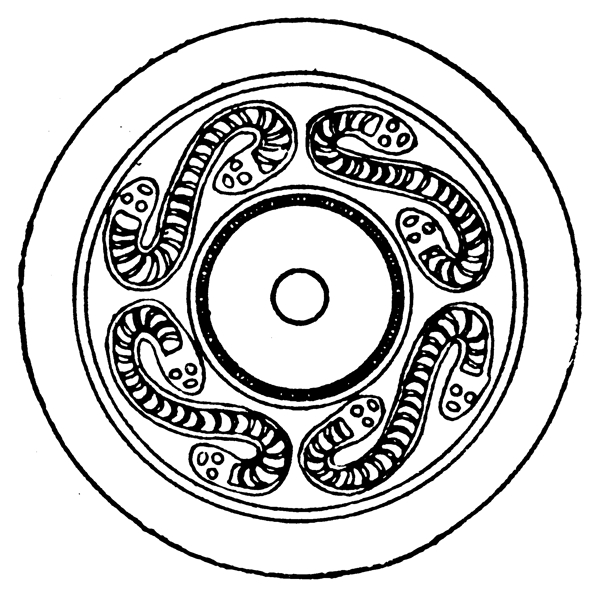 春秋戰(zhàn)國圖案青銅器圖案中國傳統(tǒng)圖案036