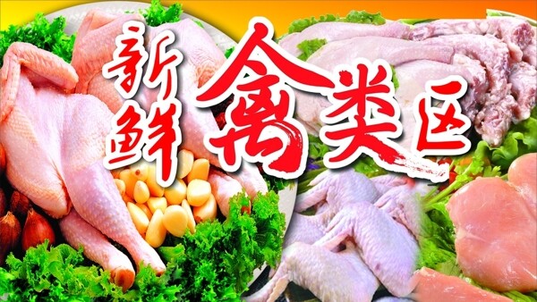 禽類區(qū)