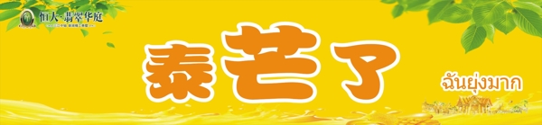 泰芒