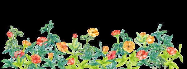 爛漫花邊卡通透明裝飾素材
