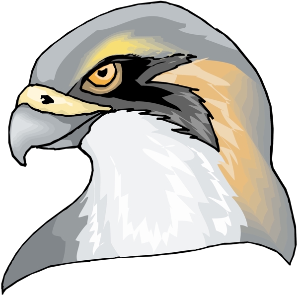 各種鳥類鳥動物矢量素材EPS格式0991