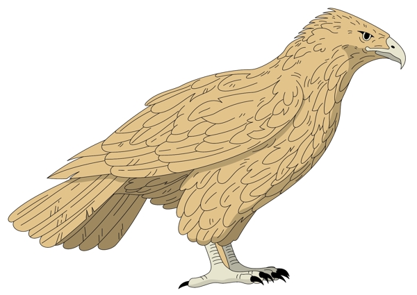 各種鳥類鳥動物矢量素材EPS格式0847