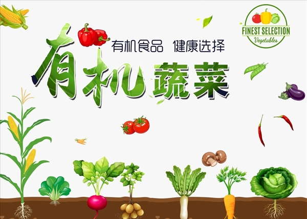 有机蔬菜