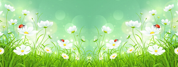 清新白色花朵淘寶全屏banner背景