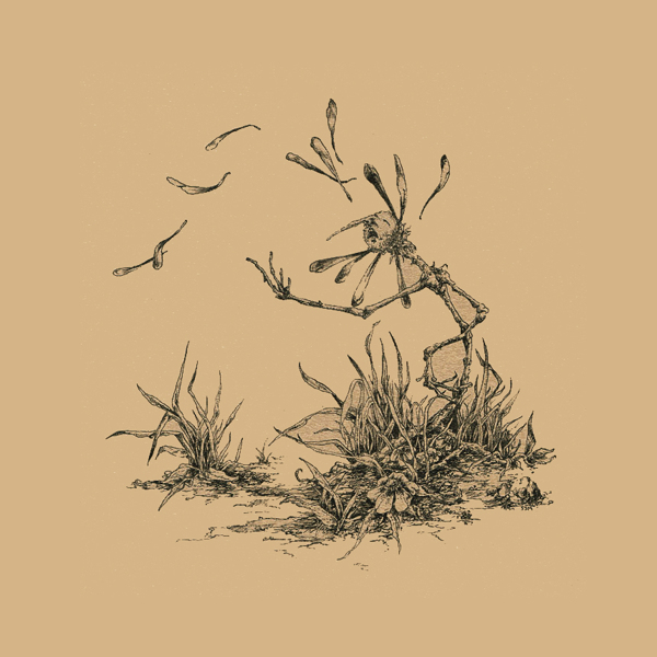 位圖插畫植物插畫插畫師Socar免費(fèi)素材