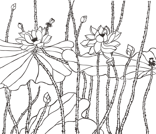 荷花白描矢量素材