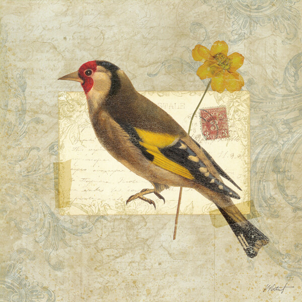 花鳥