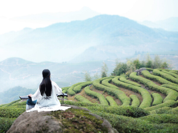 茶山
