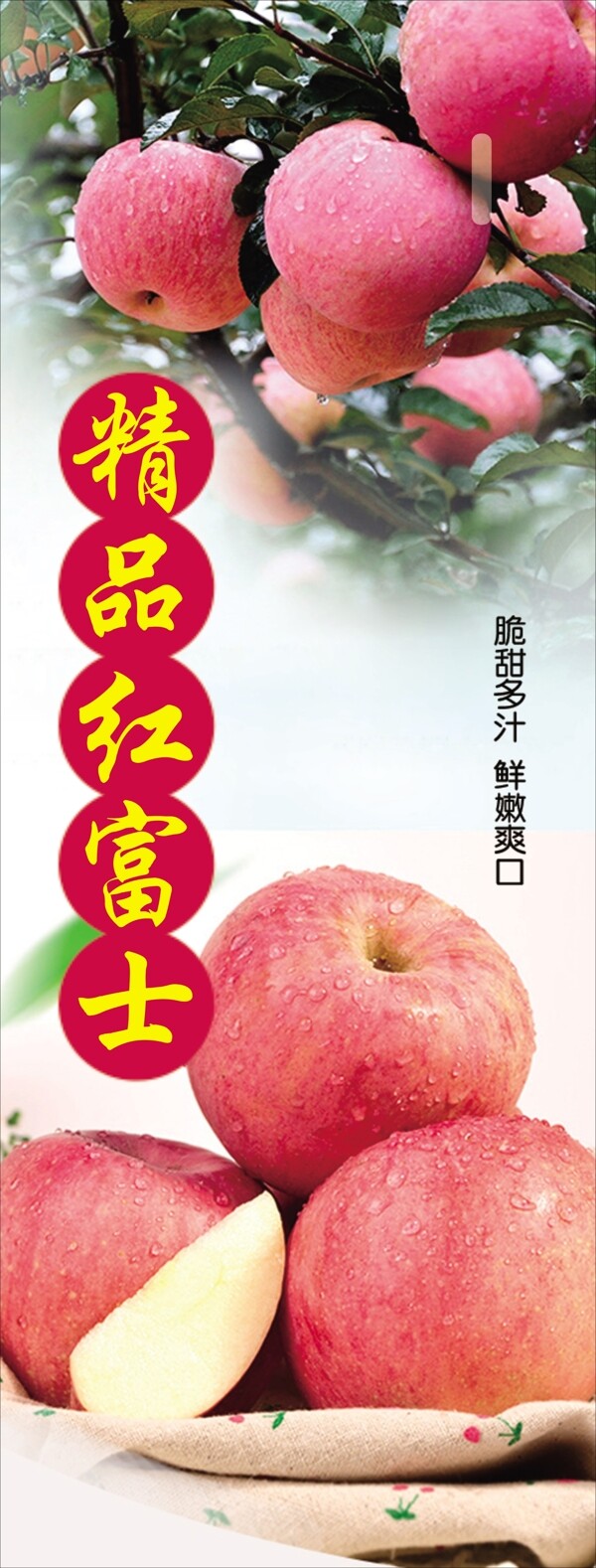 蘋果圖片