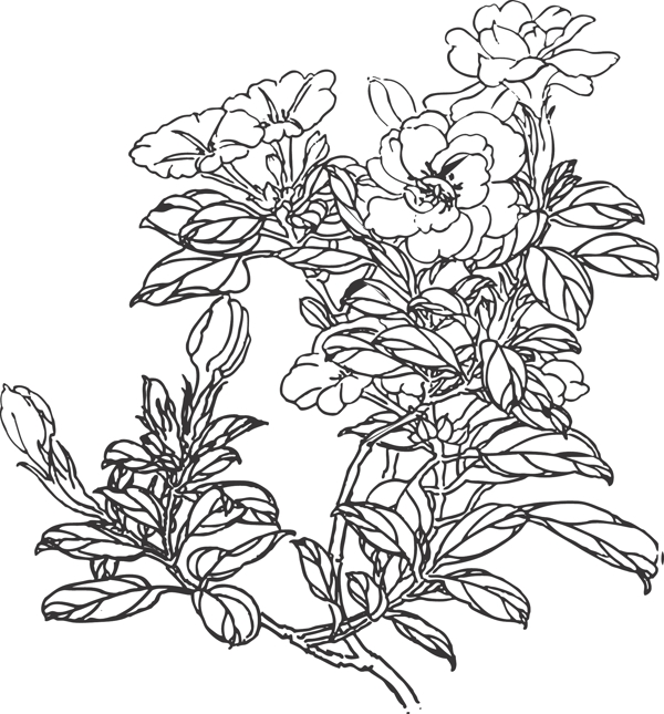 花卉