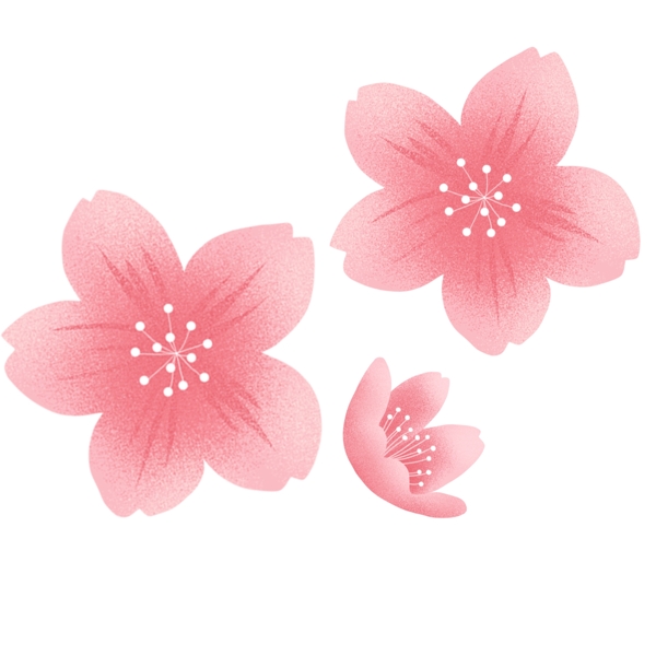 粉色樱花花瓣装饰元素