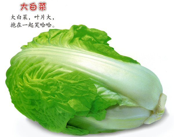 兒童認水果蔬菜圖片
