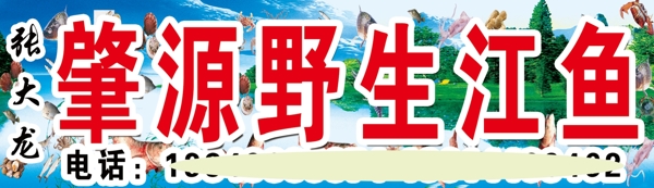 野生江魚噴繪布牌匾