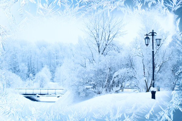 冬天小桥树林美景图片
