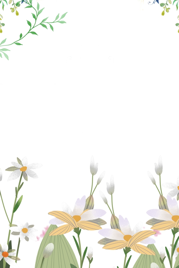 菊花花卉背景图片