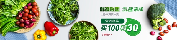 新鲜蔬菜促销Banner