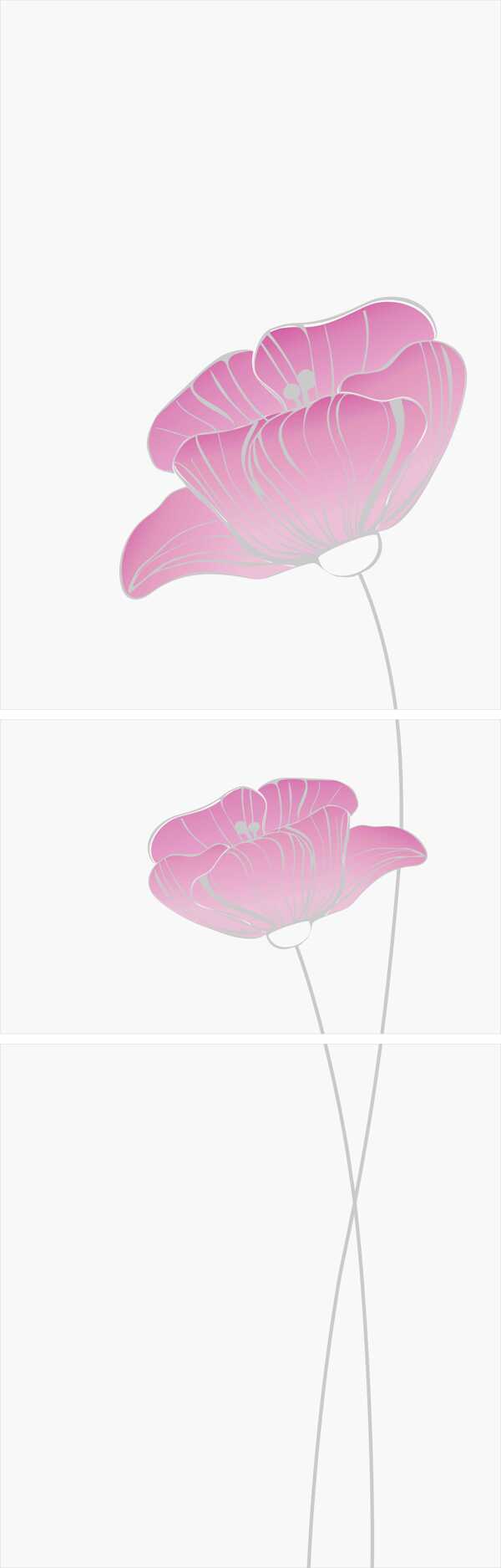 花朵白色