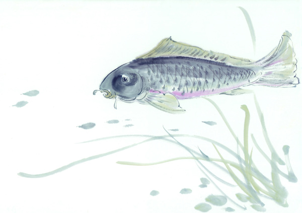 古圖繪畫(huà)動(dòng)物魚(yú)類(lèi)生物