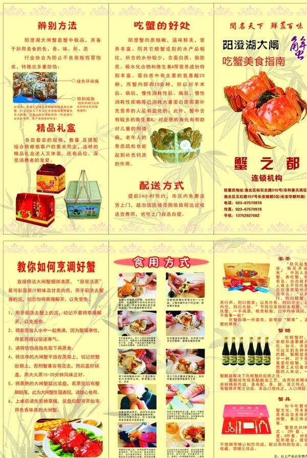 陽澄湖大閘蟹圖片