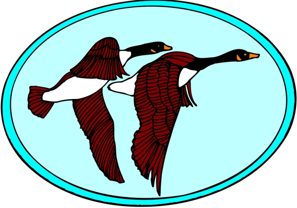 各種鳥類鳥動物矢量素材EPS格式0935