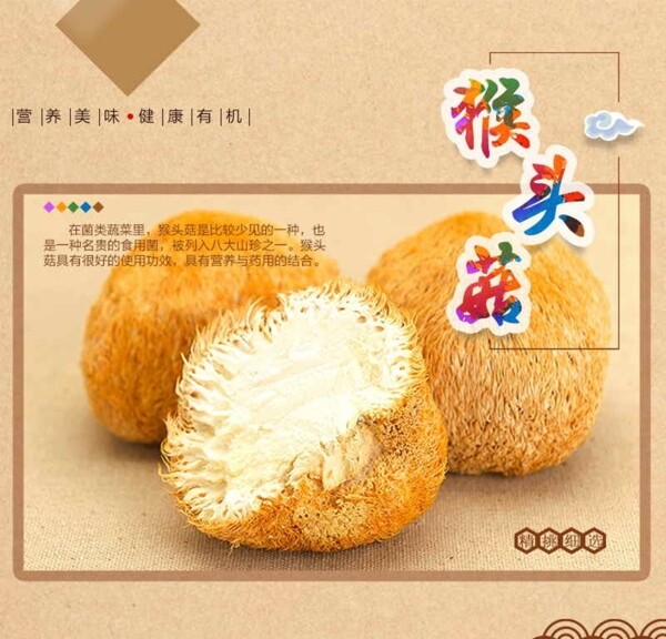 猴頭菇banner