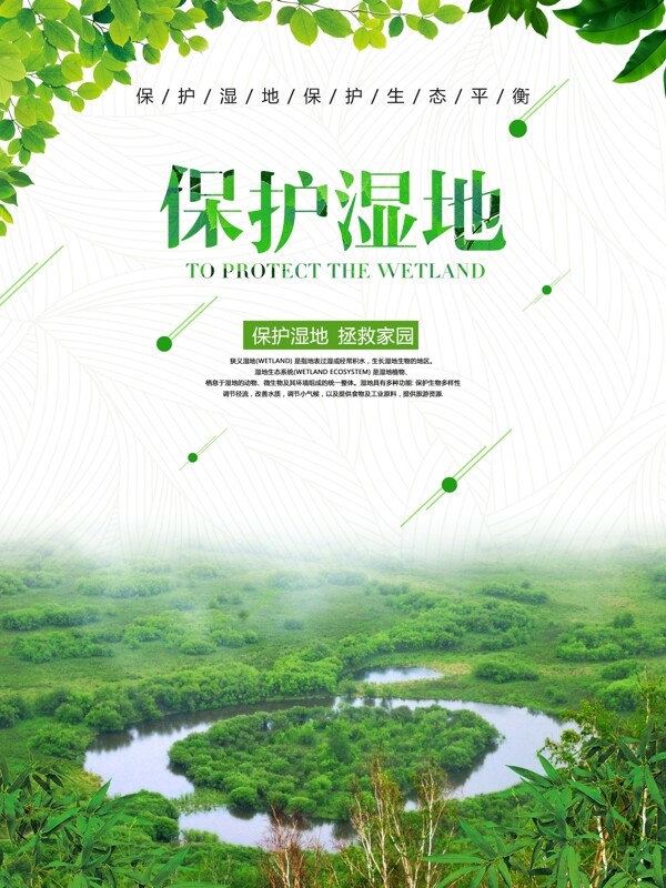 世界湿地保护日海报