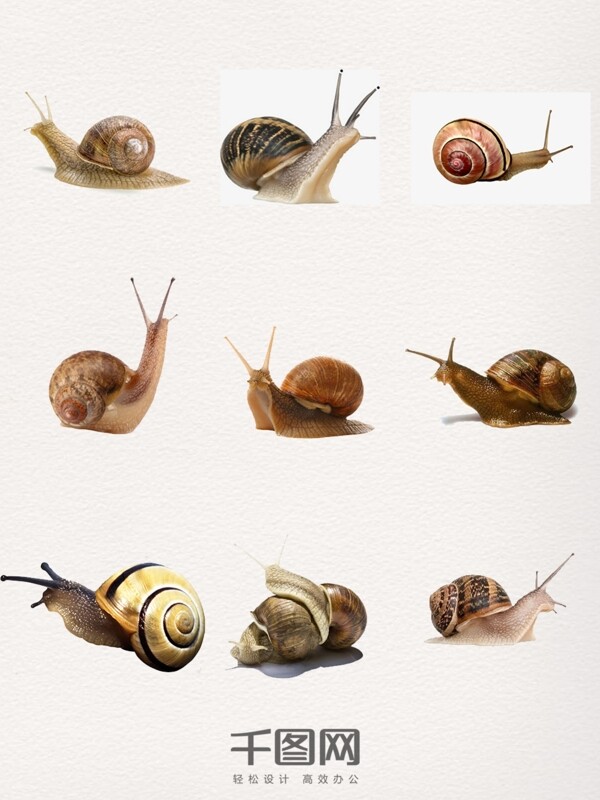 蜗牛装饰图案设计元素